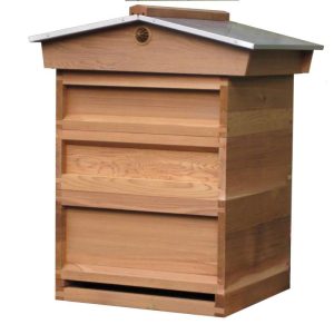 National Hive - Cedar 1st Quality